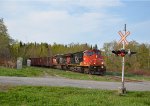 BCOL 4647 leads 562 at Chemin Petit Metis